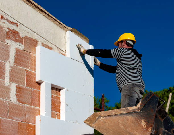 Best Eco-Friendly Insulation in Mcalmont, AR