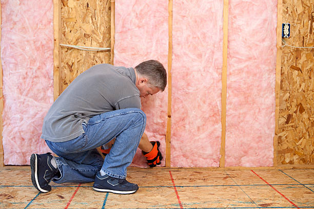 Best Commercial Insulation in Mcalmont, AR